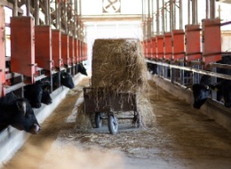 長谷川農場の風景1